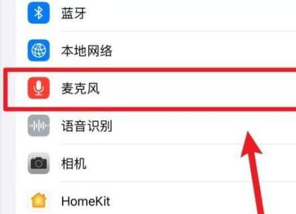 王者荣耀语音麦克风权限在哪里